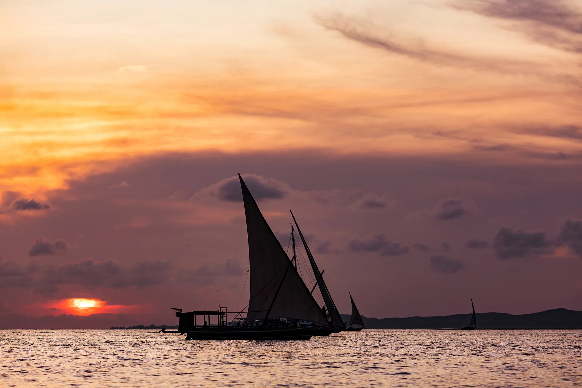 11-Day Bush & Beach Adventure