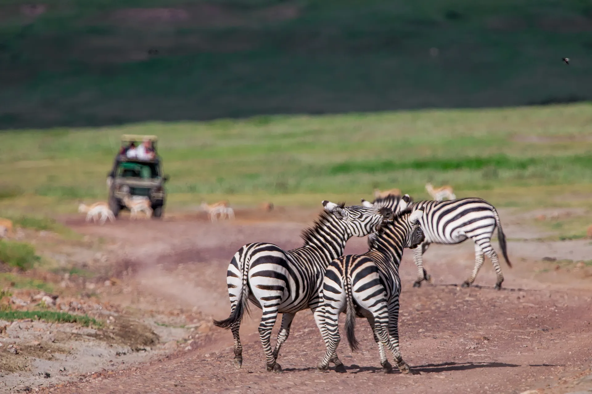 Day Tour To Ngorongoro Crater