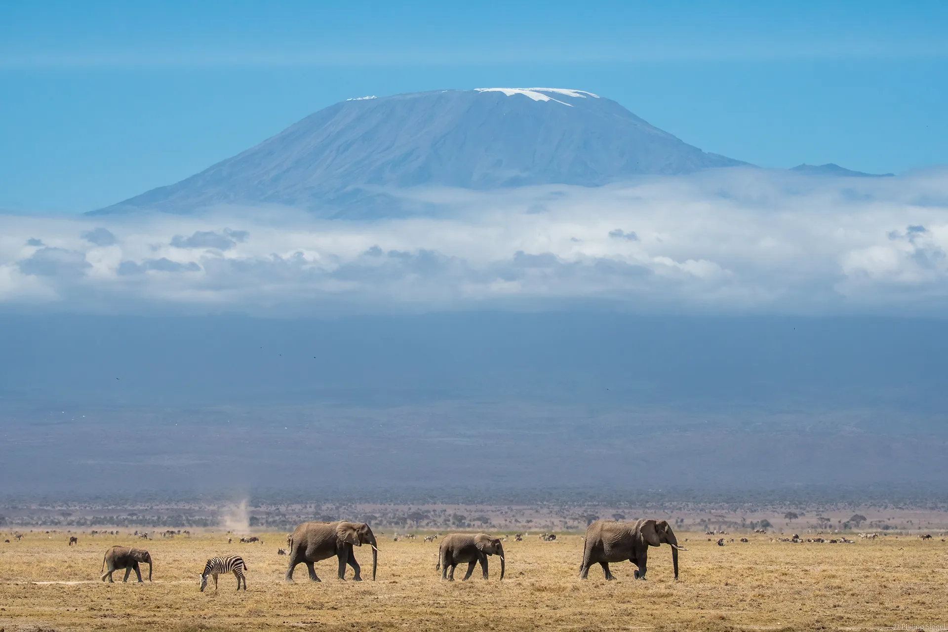 Day Tour To Mount Kilimanjaro